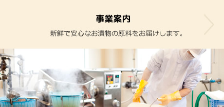 事業案内：新鮮で安心なお漬物の原料をお届けします。