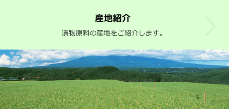 産地紹介：漬物原料の産地をご紹介します。